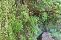 Full-day Levada do Rei walking tour to Ribeiro Bonito
