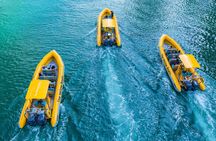 Abu Dhabi 60 minutes Corniche tour