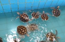 Private Day Tour to Khao Lak with Rafting and ATV From Phuket