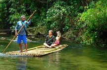 Private Tour with Rafting, ATV, and Turtle from Khao Lak