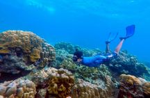 Snorkeling Tour from Phuket to Koh Haa and Koh Rok by Speedboat