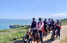 Howth panoramic e-Bike tour in Dublin