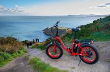 Howth panoramic e-Bike tour in Dublin