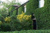 Vinho Verde private tour with gourmet lunch