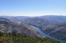 Douro and Vinho Verde private tour from Porto