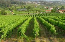 Douro and Vinho Verde private tour from Porto