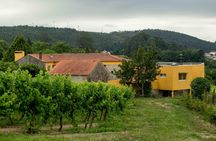 Douro and Vinho Verde private tour from Porto