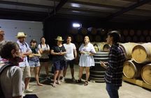 Douro and Vinho Verde private tour from Porto