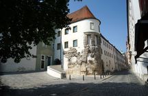 Discover Regensburg in 1 Hour with a Local