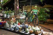 Morning bike experience in Siem Reap city