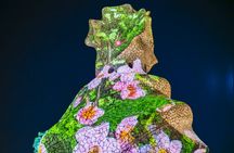 La Pedrera Night Experience