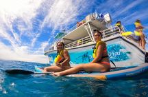 West O'ahu Dolphin Cruise with Snorkelling Water Activities and Lunch