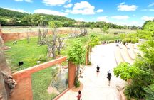 Prague Zoo ticket with online audio guide