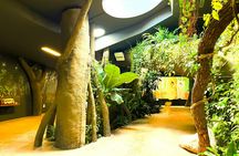 Prague Zoo ticket with online audio guide