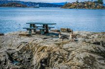 Oslofjord island hopping tour