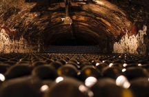 Private Bairrada Wine Tour from Porto with Tasting and Lunch