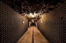 Private Bairrada Wine Tour from Porto with Tasting and Lunch