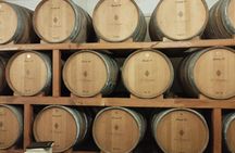 Private Bairrada Wine Tour from Porto with Tasting and Lunch