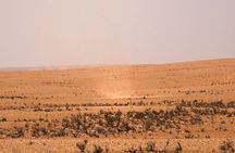 Ksar Ghilane Day Tour