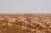Ksar Ghilane Day Tour