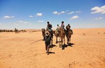 Ksar Ghilane Day Tour