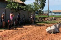 Half-day Siem Reap countryside bike tour with guide