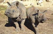 Terra Natura Zoo tickets