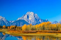 Grand Teton and Yellowstone Self-Guided Driving Tours Bundle