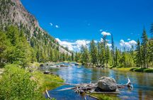 Grand Teton and Yellowstone Self-Guided Driving Tours Bundle