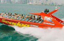 Chicago's Seadog