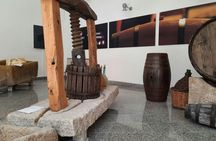 Berchidda Wine Museum entrance ticket with wine tasting