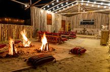Al Marmoom Oasis Experience including Bedouin Dinner