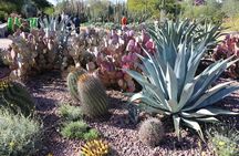Saguaro National Park and Mt. Lemmon Self-Guided Audio Tour