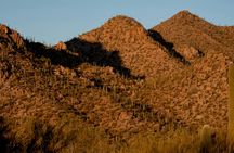 Saguaro National Park and Mt. Lemmon Self-Guided Audio Tour