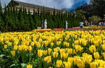 Ba Na Hills Sun World and Golden Bridge day tour from Da Nang