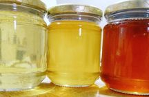 Discover the Products of Beekeeping in Oristano