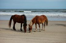 Outer Banks Self-Guided Audio Driving Tour