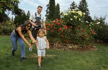 Family walking tour in Amsterdam with a guide