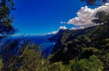 East and Northeast of Madeira in 4x4