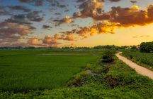 Half-day quad bike adventure in rural Hoi An with BBQ
