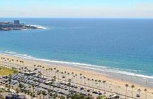 Private Driving Tour to Discover San Diego's Beaches