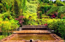 Furnas thermal baths experience by night with dinner