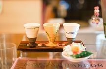 Kyoto night foodie tour