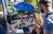 Krka Waterfalls full-day tour from Split