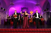 Schönbrunn: Christmas market, palace tour and concert