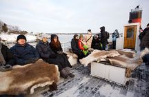 Stockholm Archipelago Winter Boat Tour with Guide