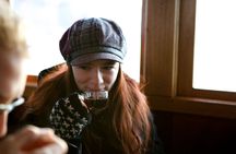 Stockholm Archipelago Winter Boat Tour with Guide