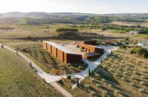 Terrasses du Larzac half day olive oil mill experience