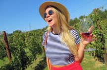 Full-Day Siena and Tuscany Tour from Rome with Lunch and Wine Tasting