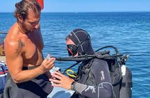 2-hour diving experience in the Bosa Gulf
